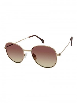 Robert Graham Acklins Sunglasses Goud | LY7482159