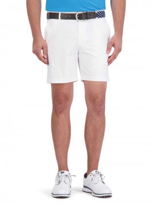Robert Graham Aster Short Wit | LO4680159