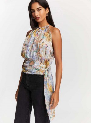 Robert Graham Ava Blouse Multi | ZQ0245179