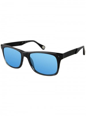 Robert Graham Breck Sunglasses Zwart | XT5376421