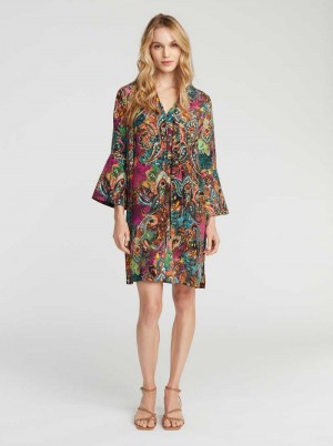 Robert Graham Brenna Dress Multi | JE7148306