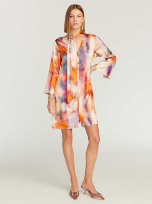 Robert Graham Brenna Dress Multi | LK5740123