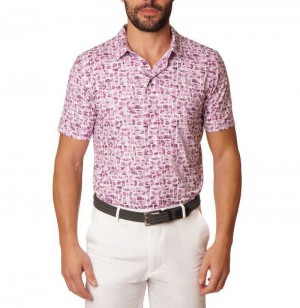 Robert Graham Brockman Polo Berry | CN7582403