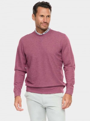 Robert Graham Colbourne Knit Shirt Berry | AY5807139