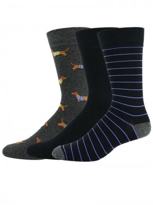 Robert Graham Dachshund 3 Pack Socks Multi | QM8325761