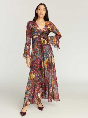 Robert Graham Diana Dress Multi | PD3560719
