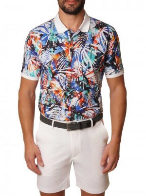 Robert Graham Flores Polo Multi | FX7809435