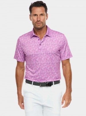 Robert Graham Iron Play Knit Polo Berry | SQ0518426