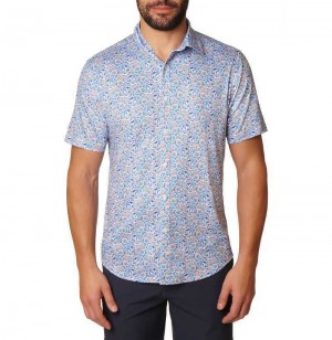 Robert Graham Kotor Short Sleeve Knit Shirt Multi | IH7639805