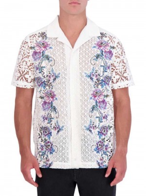 Robert Graham Limited Edition Vine Vista Short Sleeve Button Down Shirt Multi | VN1873649