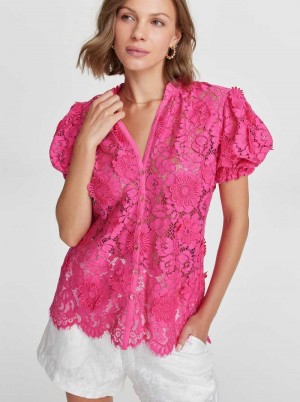 Robert Graham Mila Shirt Roze | WZ8652973