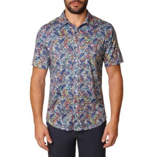 Robert Graham Padova Short Sleeve Knit Shirt Multi | FA2784150