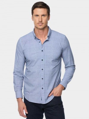Robert Graham Renley Long Sleeve Button Down Shirt Teal | OL5269814