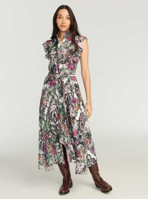 Robert Graham Sadie Dress Multi | CP6751820