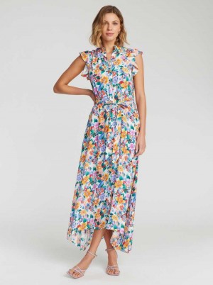Robert Graham Sadie Dress Multi | IR2653870