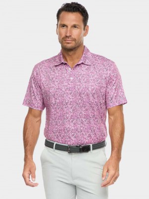 Robert Graham Torin Short Sleeve Knit Polo Donkerblauw | YW5123604